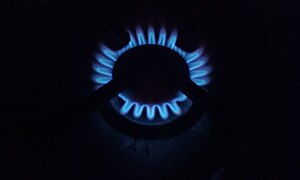 Natural gas burning on a gas stove.jpg