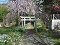 Thumbnail for File:兵庫県豊岡市竹野町小丸の八坂神社鳥居.jpg