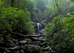 Roaring Fork Falls i Great Smoky Mountains nationalpark.