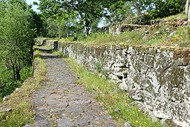 Rúa na citania de Briteiros.