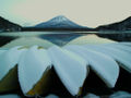 Mt. Fuji, viewed from across Lake Shoji (Shojiko) in the Fuji Five Lakes area of Yamanashi Prefecture, Japan