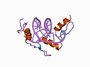 1a1g: DSNR (ZIF268 VARIANT) ZINC FINGER-DNA COMPLEX (GCGT SITE)