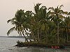 Ashtamudi Lake 2006