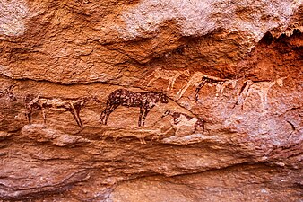 Rock painted cattle