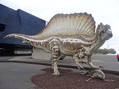 Le spinosaure du Musée des Sciences naturelles de Barcelone (Musée Bleu).