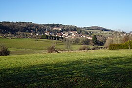 Paysage du centre historique et du Mont.