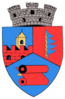 Coat of arms of Buhuși