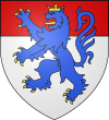 Blason des Comtes de Vendôme