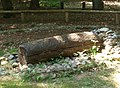Log coffin burial, reconstruction.[209][210]