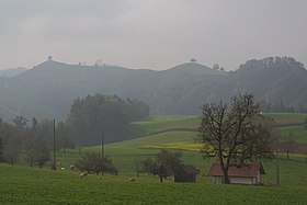 Drumlinlandschaft in Hirzel