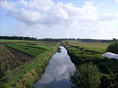 L'Arnoult à Trizay.