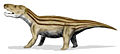 Cynognathus là một dạng bò sát răng chó ở đầu kỉ Trias. Động vật có vú thật sự đầu tiên đã xuất hiện trong giai đoạn này.