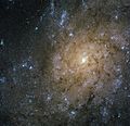 Hochaufgelöste Aufnahme des Hubble-Weltraumteleskops des zentralen Bereichs von NGC 7793