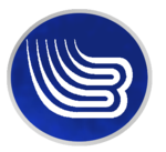 Logo used by the Espoo Blues 2003–05