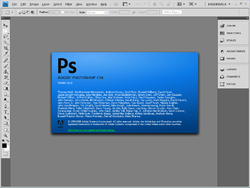 Adobe Photoshop CS4.