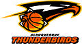 Logo des Thunderbirds d'Albuquerque (2005-2010)