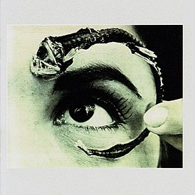 Обложка альбома Mr. Bungle «Disco Volante» (1995)
