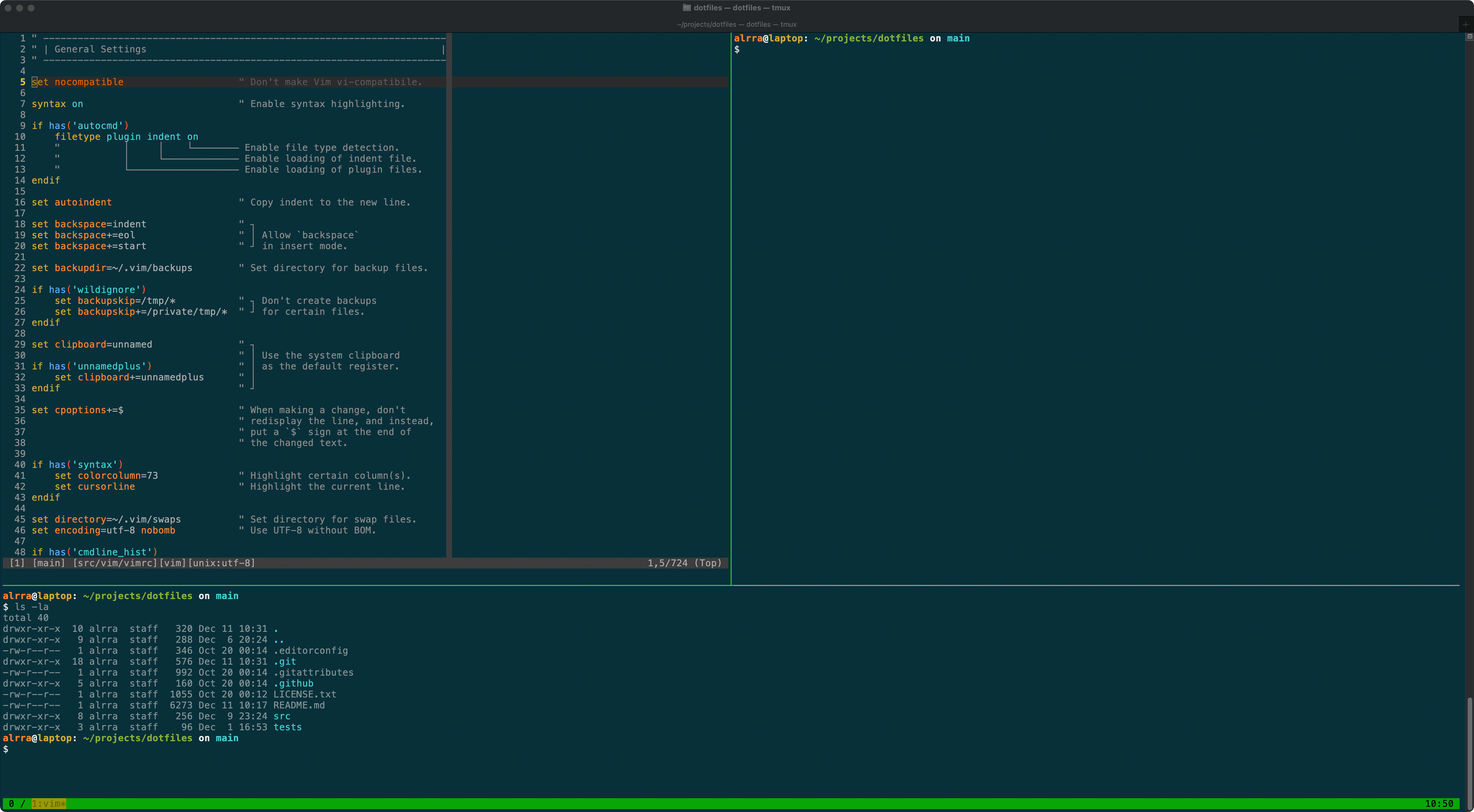 Vim on macOS