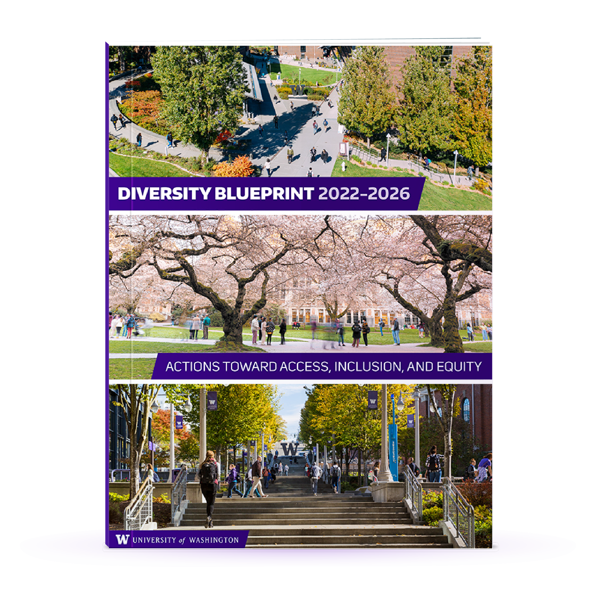 Diversity Blueprint report cover featuring exterior shots of campus