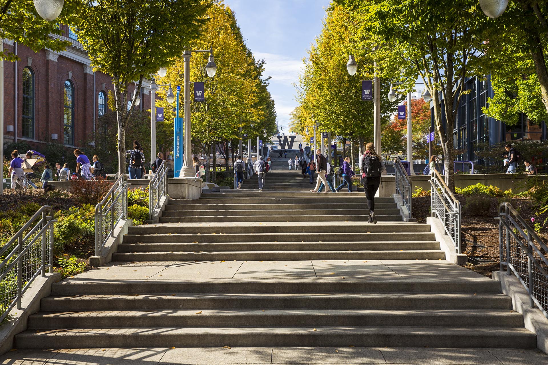 uw-tacoma-diversity