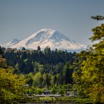 The view of Mount Rainier from the UW campus in Seattle