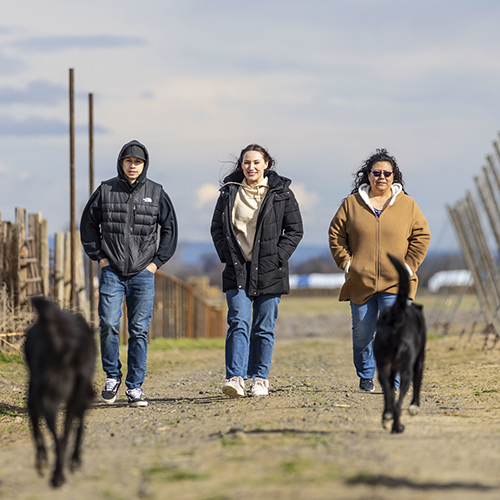 Nocona and her family walking their dogs