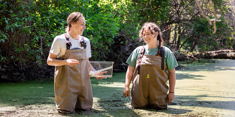 UWM research students conducting a frog release