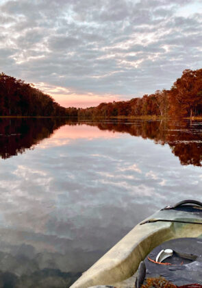 5 Incredible Places to Paddle Near Tallahassee