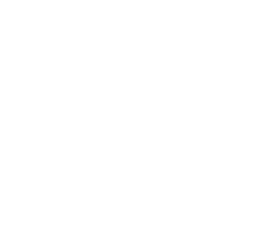 PwC Logo