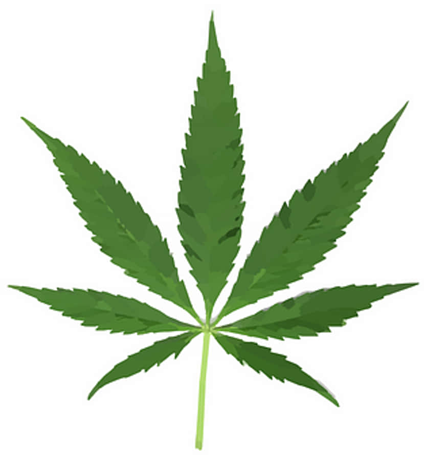 Cannabis Wallpaper