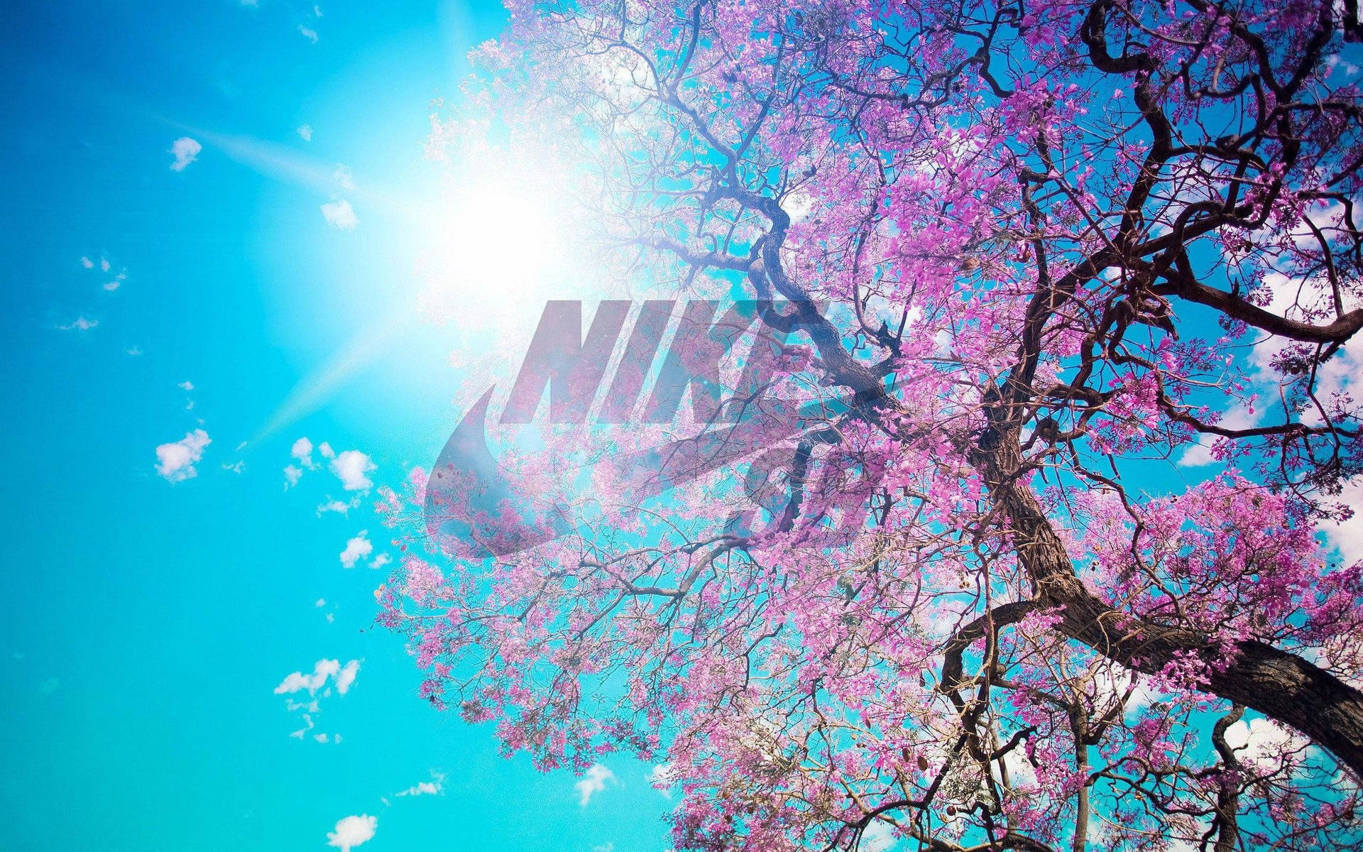 Chica Nike Fondo de pantalla