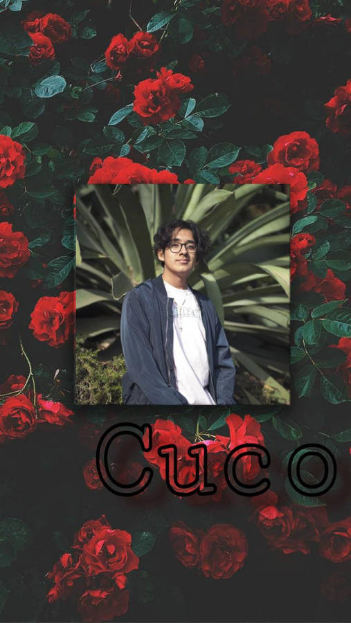 Cuco Wallpaper