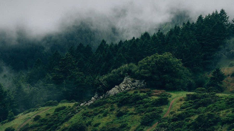 Estética De La Naturaleza Fondo de pantalla