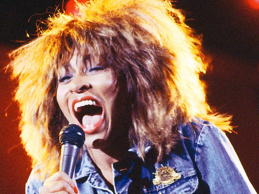 Fondods De Tina Turner