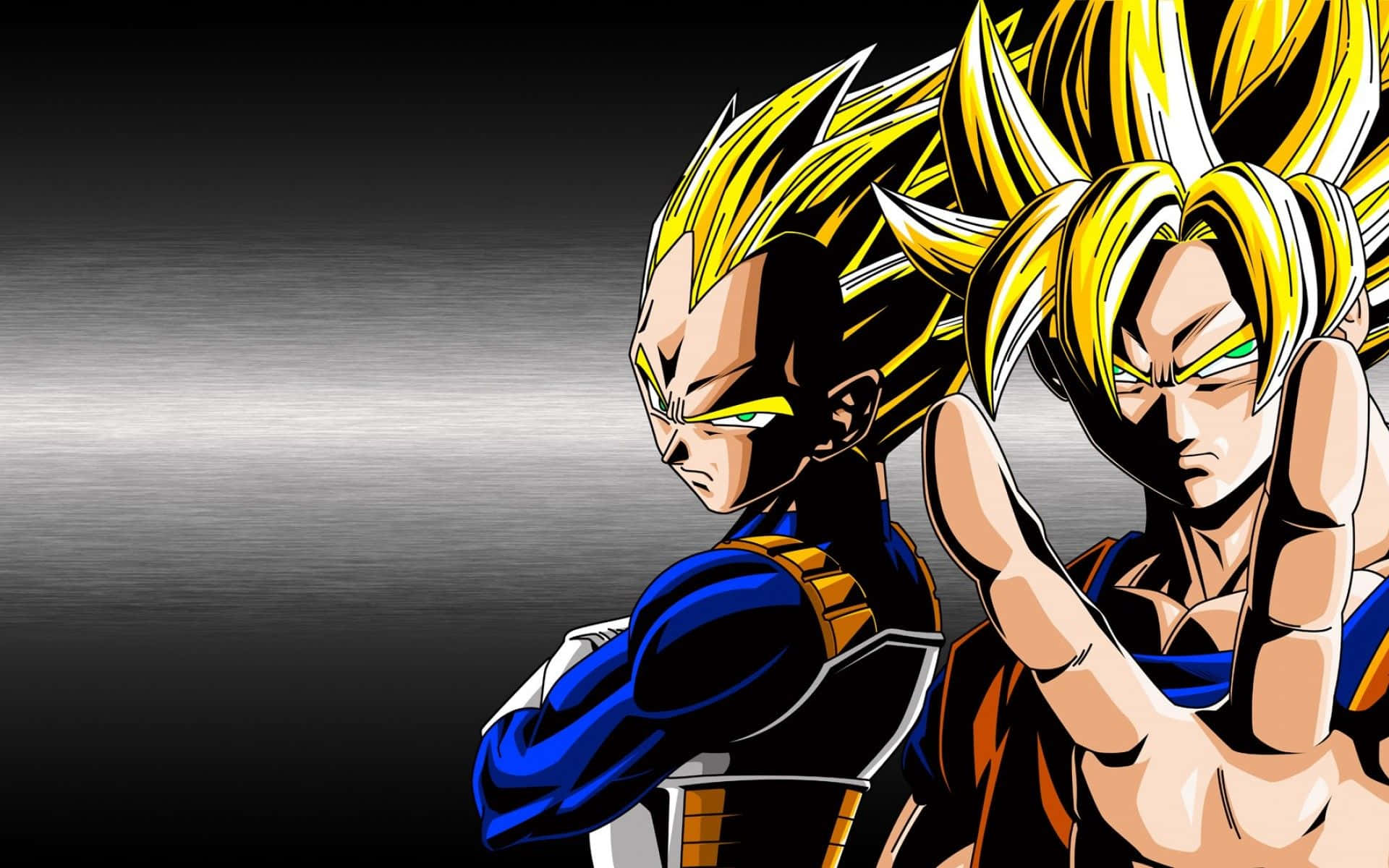 Goku Y Vegeta Fondo de pantalla