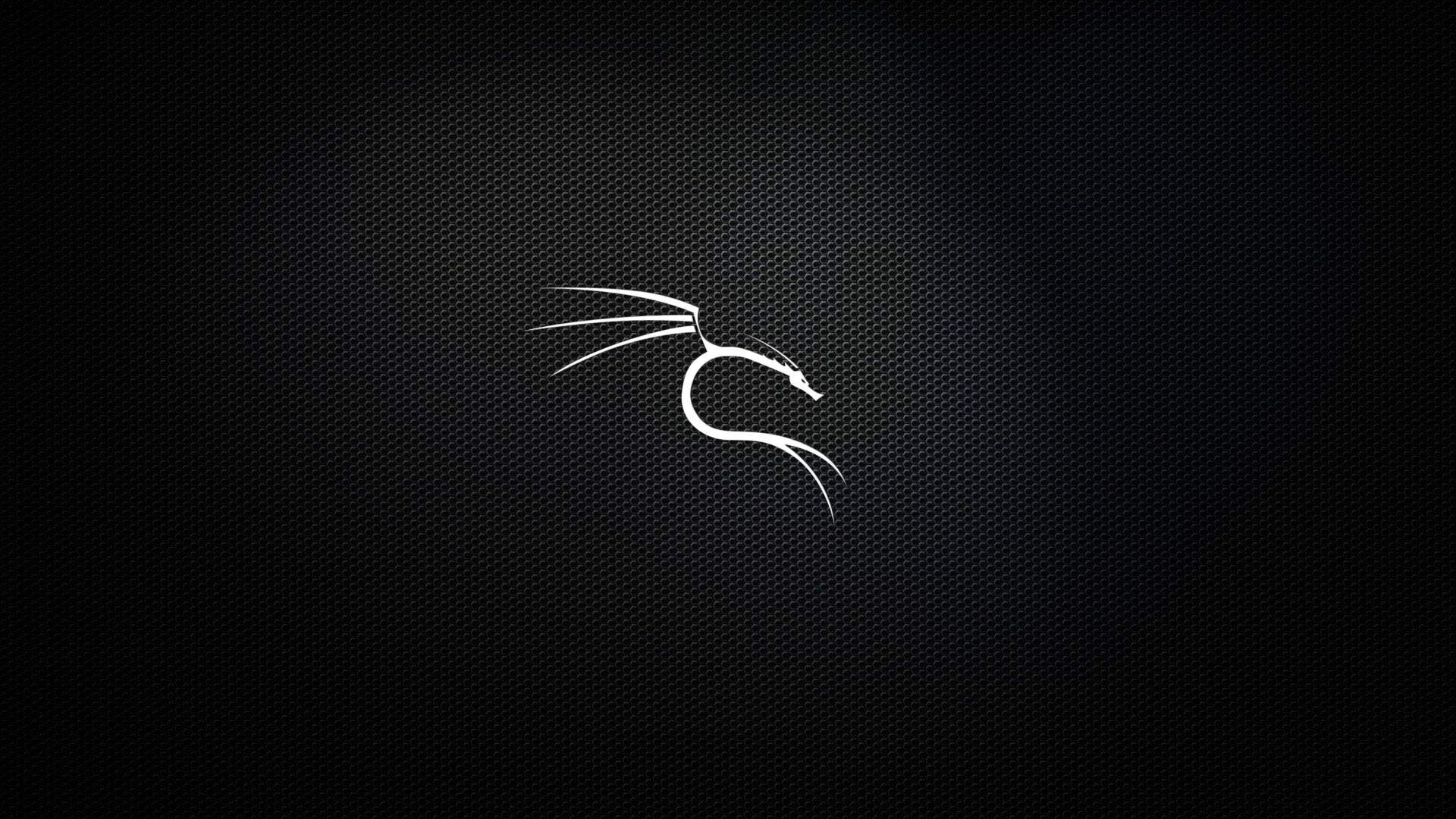 Kali Linux Wallpaper