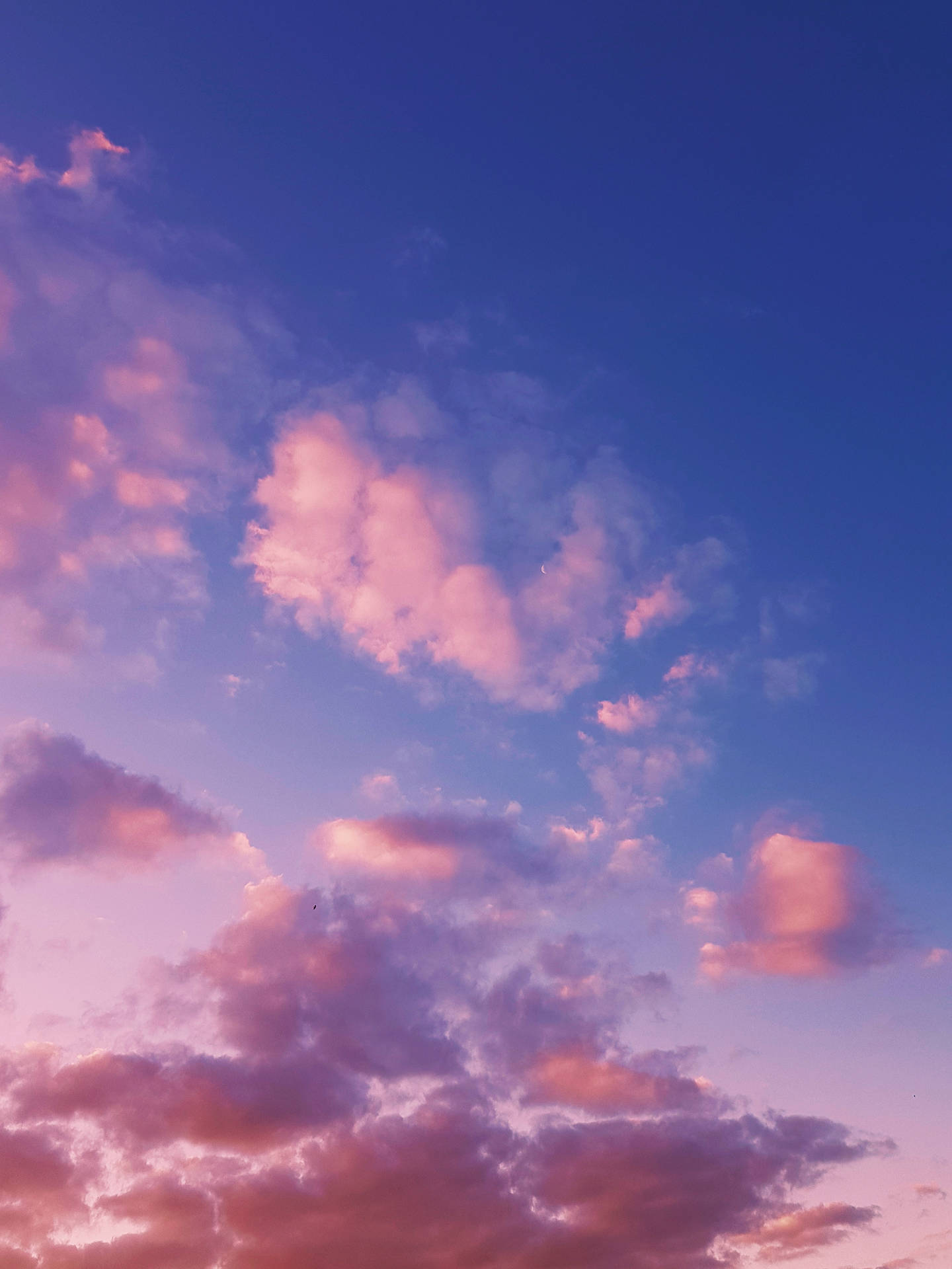 Pastel Wallpaper