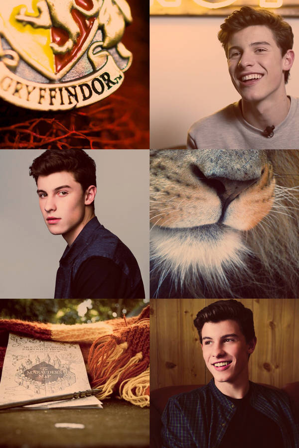 Shawn Wallpaper