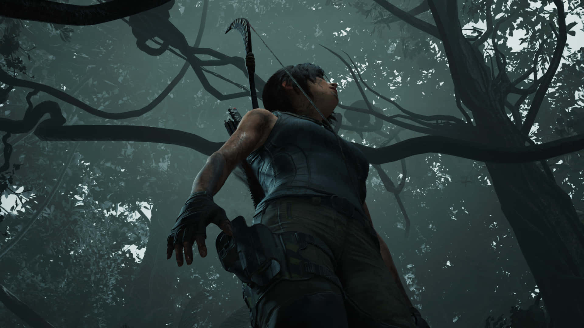 Skuggan Av Tomb Raider Wallpaper