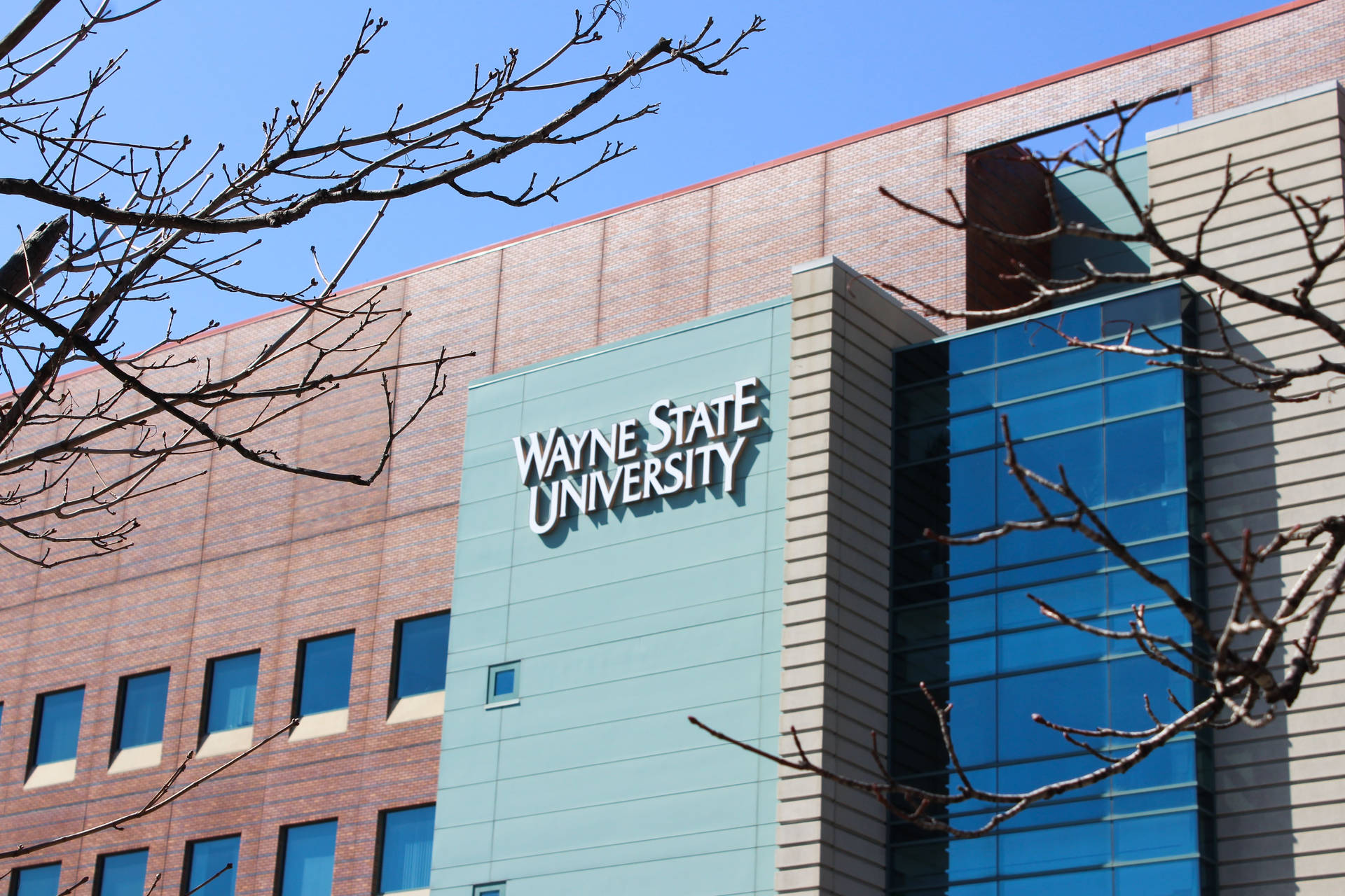 Wayne State University Wallpaper