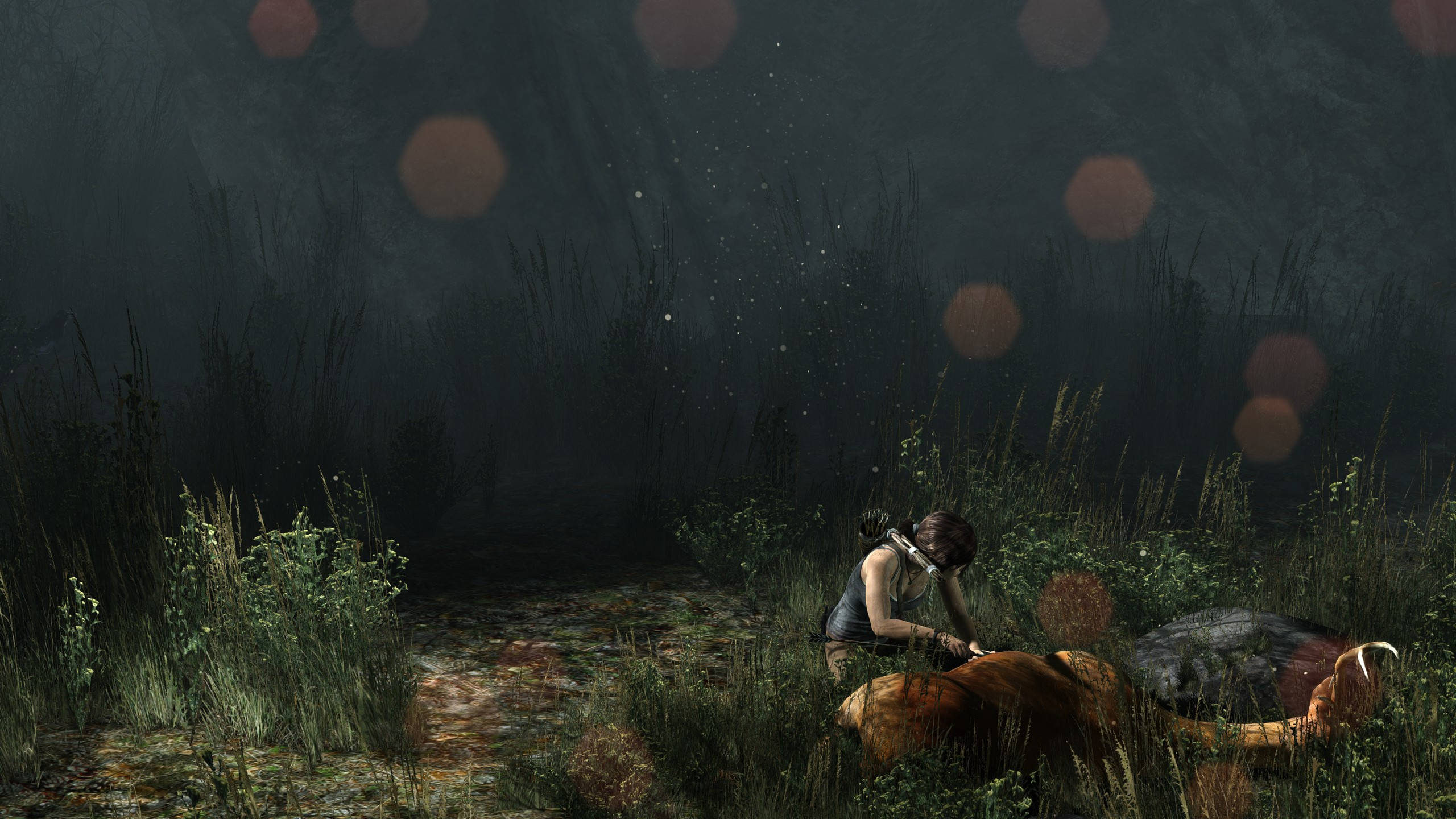 2560 X 1440 Tomb Raider Hunter Lara Sfondo