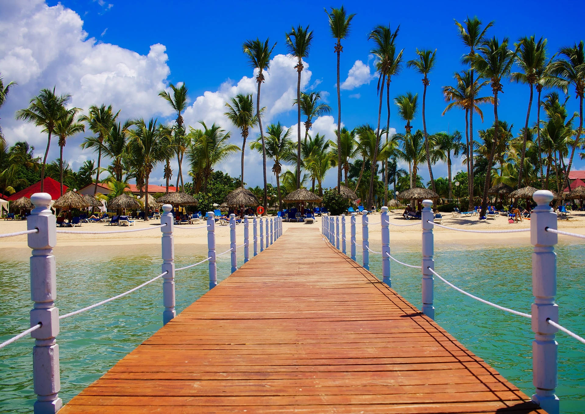 Paseopor La Playa En 4k Ultra Hd. Fondo de pantalla