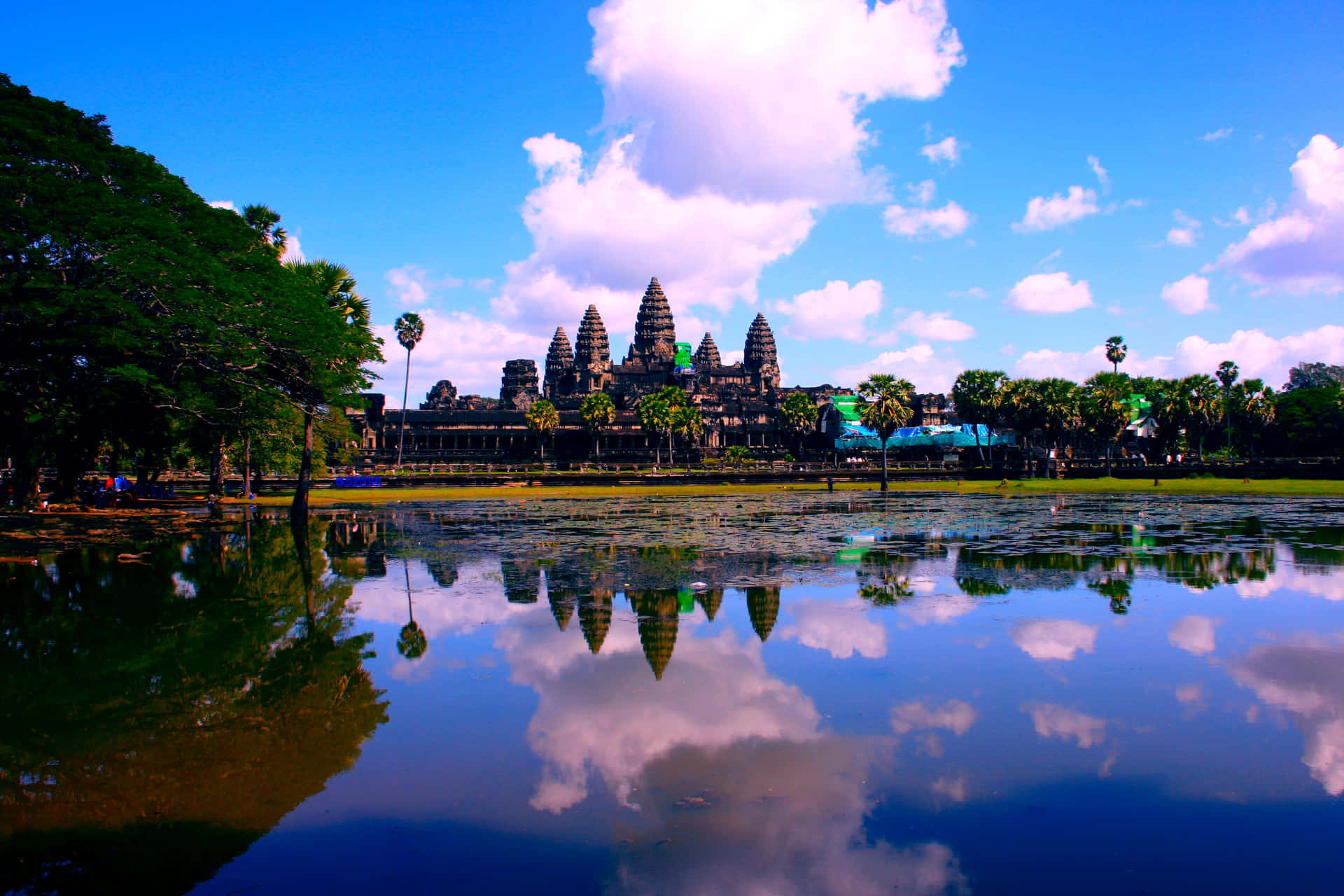 Angkorthom Blu E Rosa Sfondo