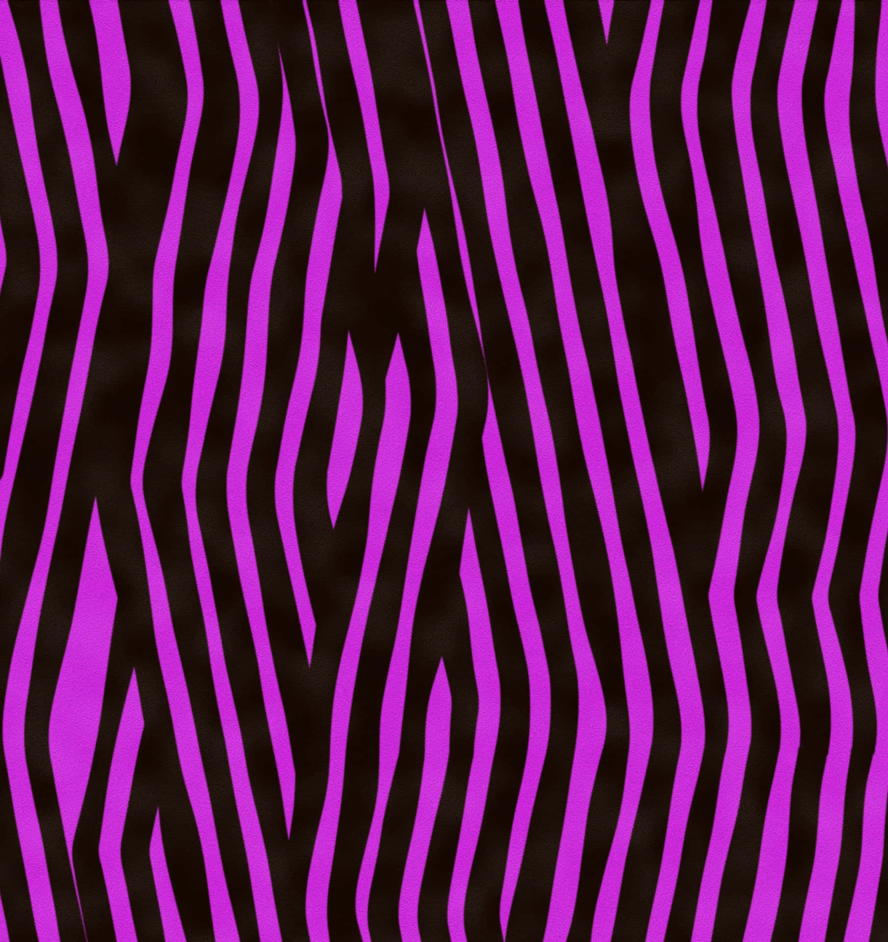 Estampaanimal De Zebra Violeta. Papel de Parede