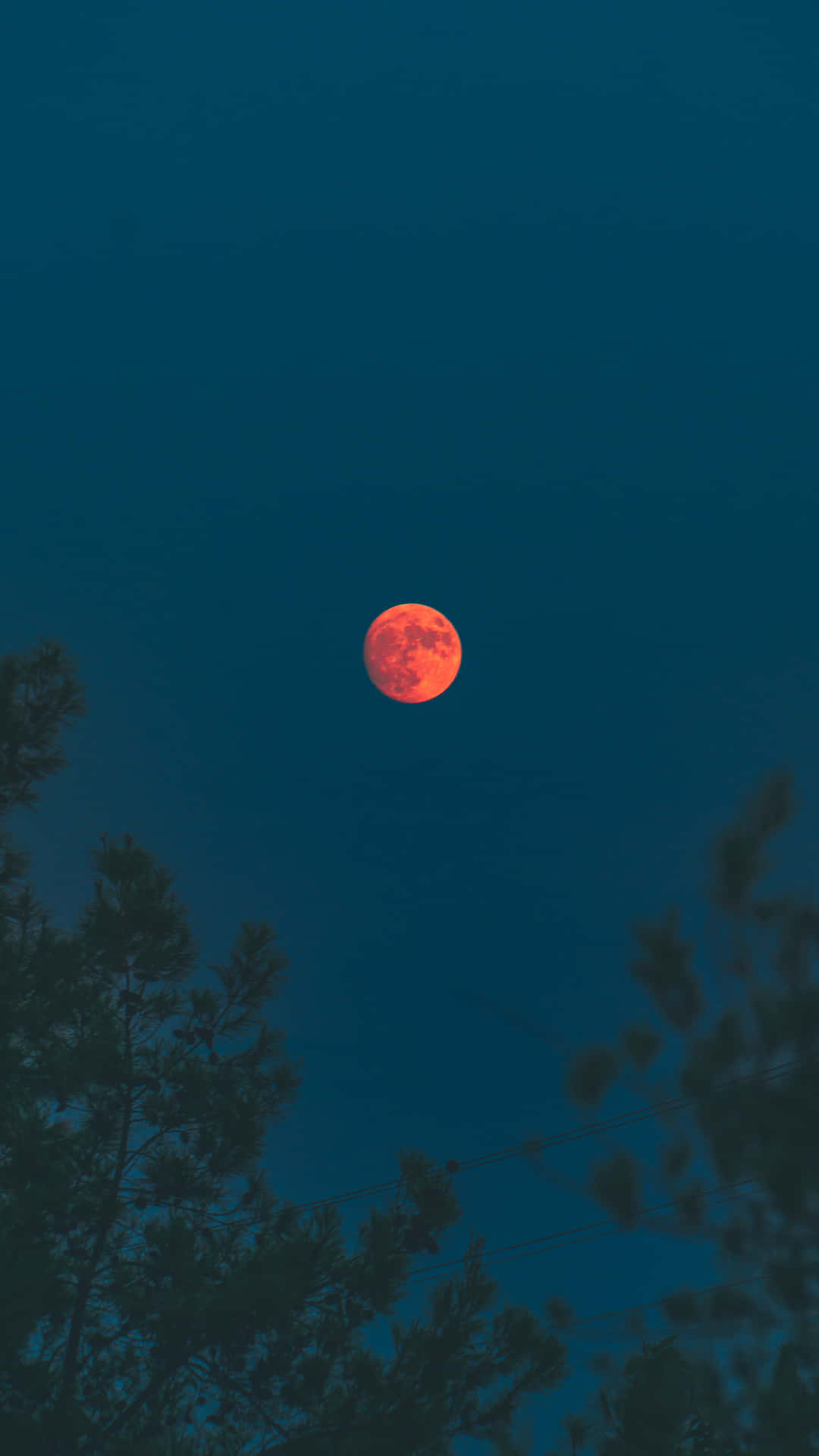 Vejaa Incrível Lua De Sangue Pendurada No Céu Noturno! Papel de Parede