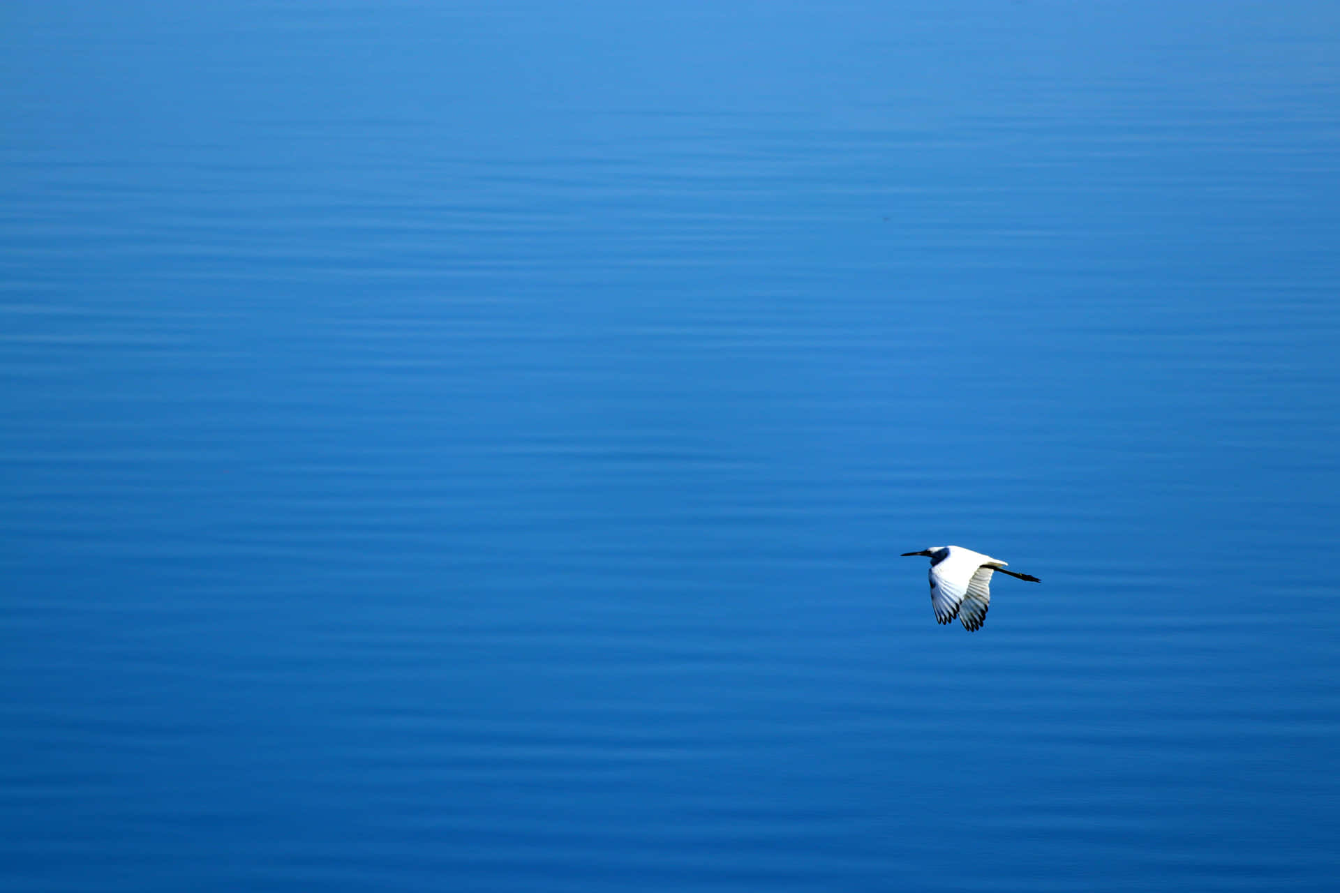 Fondoazul