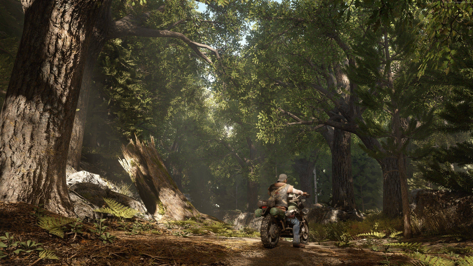 Tag på eventyr på din trofast bike i Days Gone tapet! Wallpaper