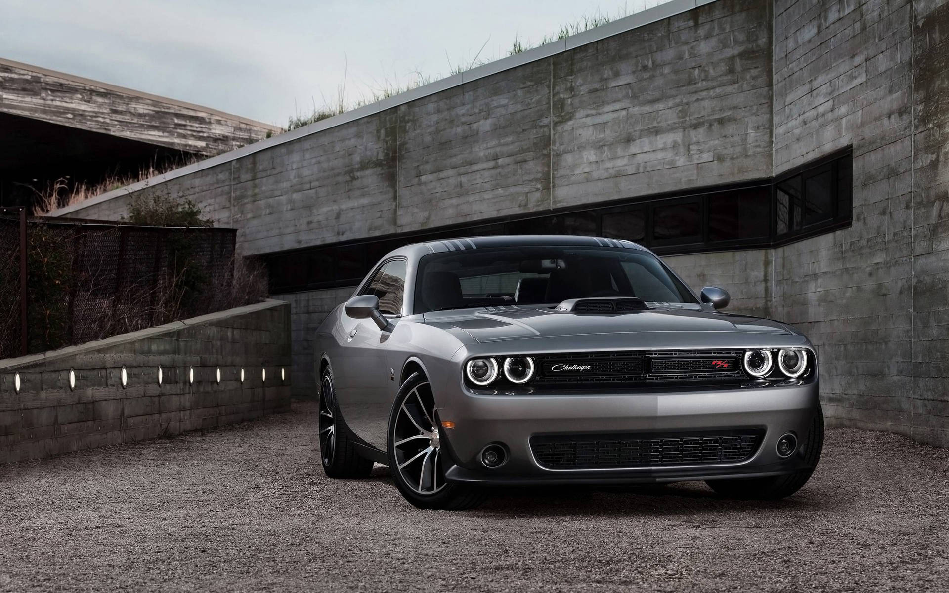 Dodge Challenger Metallic Silver Wallpaper