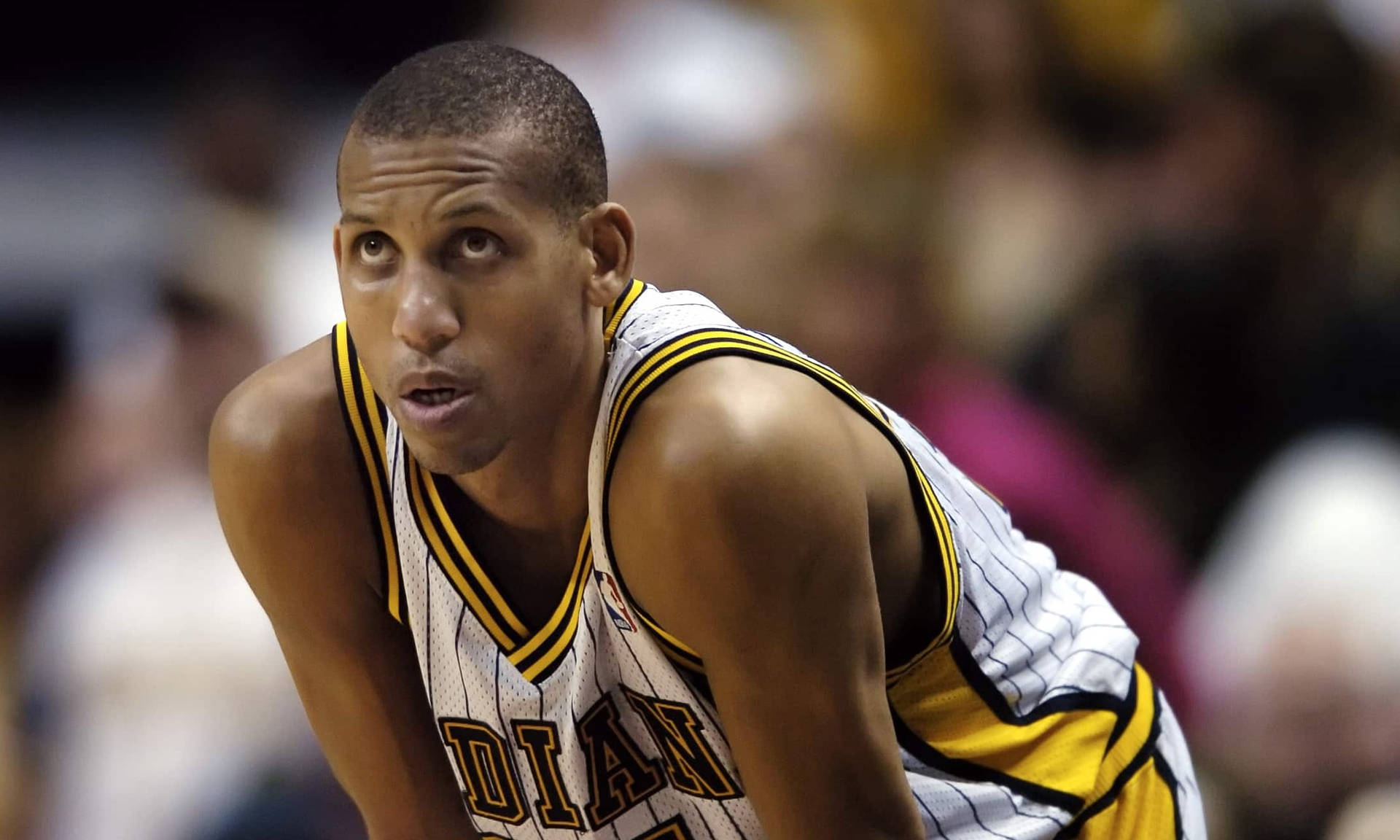 Fokus spiller Reggie Miller har cool baggrunde. Wallpaper