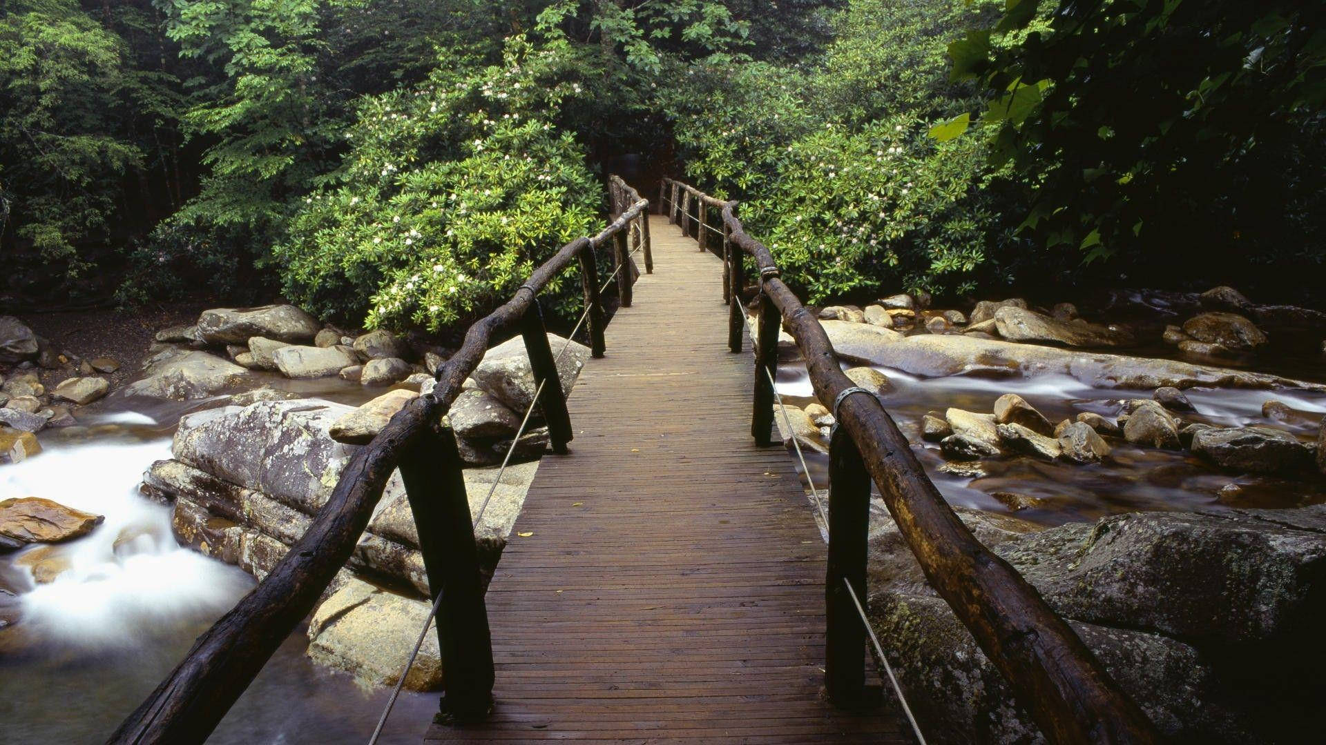 Lagrandeza De Las Montañas Humeantes Fondo de pantalla